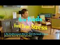 How Foods Feed Your Stress Clip Crooked Spine Show