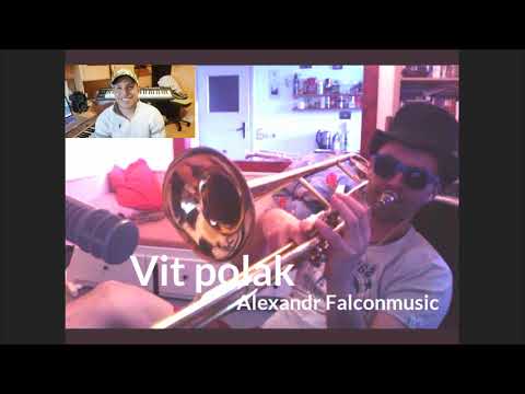 Alexandr Falconmusic feat Vít Polák