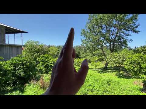 Продается дом с садом, в Гонио, 7 км. от Батуми.