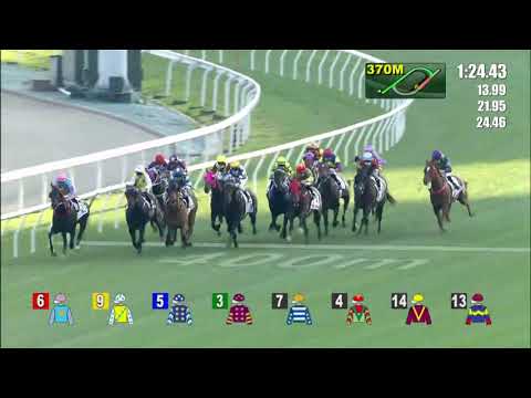 Healthy Happy 【ヘルシーハッピー】Hong Kong Classic Cup 21/2/2021 HK
