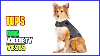 TOP 5 Best Dog Anxiety Vests 2026