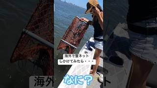 海外在住の釣り女子が蟹ネットしかけてみた結果 #釣り #釣り女子 #オーストラリア