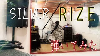 【銀魂】RIZE/SILVER 　弾いてみた
