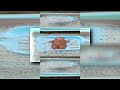 YTPMV 小臭宝哈哈 Scan