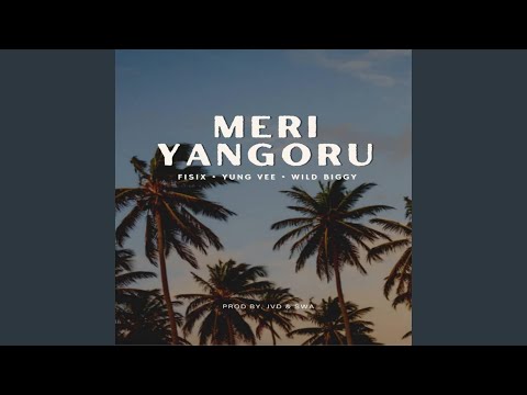 Meri Yanguru (feat. Wild-Biggy & Yung-Vee)