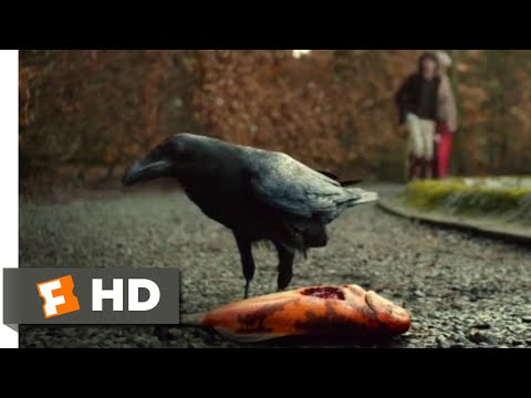 ターニング (2020) - カラスと鯉のシーン（3/10）｜Movieclips