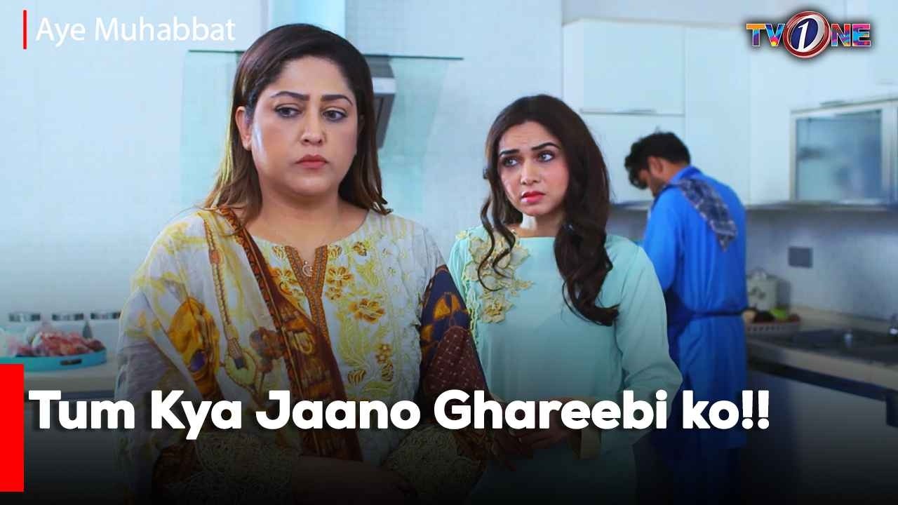 Tum Kya Jaano Ghareebi ko!!| Best Moments | Fazila Qazi | Shahroze Sabzwari |