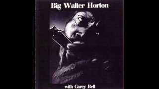 Big Walter Horton- Under the sun