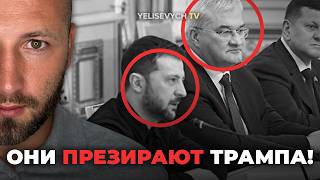 «Они ПРЕЗИРАЮТ и НЕНАВИДЯТ Трампа!» Елисевич раскрыл, что на самом деле думают у Зеленского