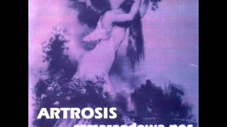 Artrosis - Emerald night [432 Hz]
