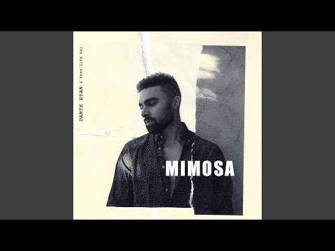 Mimosa