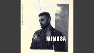 Mimosa