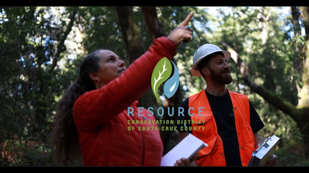 Reducing Wildfire Risk and Improving Wildlife Habitat in Santa Cruz County