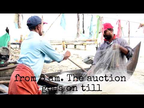 Vishal Bhutani Fort Kochi...