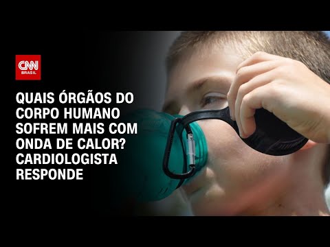 Quais órgãos do corpo humano sofrem mais com onda de calor? Cardiologista responde | CNN NOVO DIA