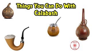 The Best Things You Can Do With Calabash | Bottle Gourd