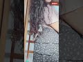 Sri Lankan Hot Tiktok Girl Dance Shorts