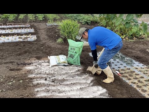 種まきに関する10の質問と回答 トピックス