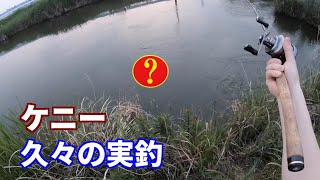 バス釣り 5月 実釣 久々のバス釣り 巻物 やっぱ楽しい〜わ 春 bass fishing japan
