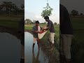 Raithanna Runam Song Farmar Chinnylol Farming Raithanna Songs