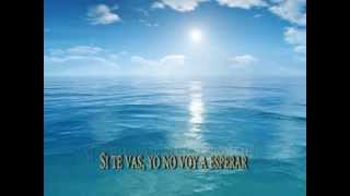 si te vas - sergio dalma con letra