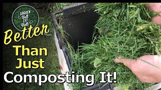 Use Your Grass Clippings EVERYWHERE In The Garden THIS Way--MUCH More Effective Than Just Composting