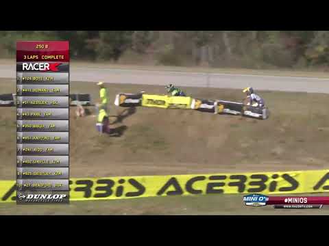 2019 Mini O's MX - 250 B