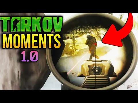 EFT WTF Moments | ESCAPE FROM TARKOV | Highlights & Clips Ep.444
