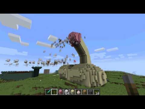 Ayolning tukli anusining yaqindan surati.