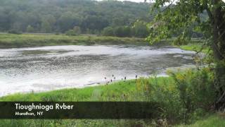 preview picture of video 'Tioughnioga River  9-4-11'