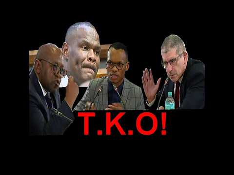 Gareth Mnisi may be arrested anytime soon. Watch this Madlanga exercise to the end #arrest #jail