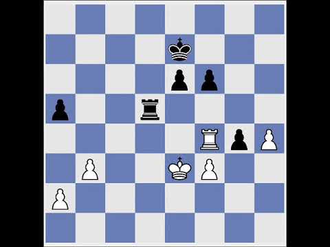 [Carlsen 004] [White "Carlsen, Magnus"] vs [Black "Van Wely, Loek"]
