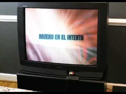 PATY B - muero en el intento (official audio)