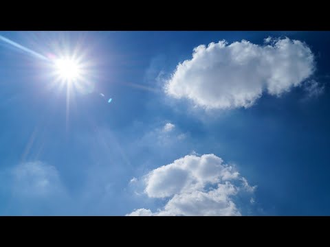 The death of Adolf (award winning animation)