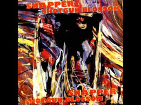 Snapper -What Are You thinking