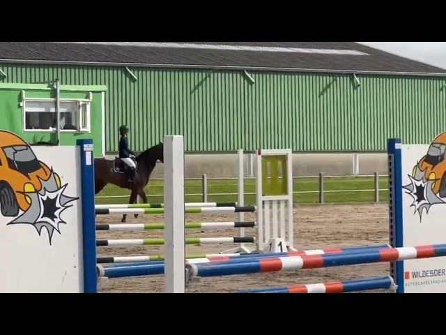 Think Twice van't Daalhof Z at the show