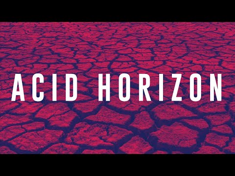 Acid Horizon presents Concepts in Focus: The Body without Organs, Part 1