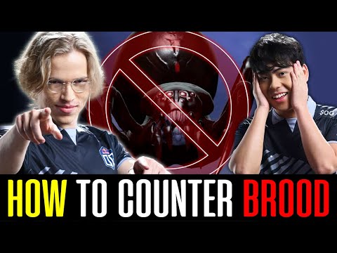 TOPSON Counter BROODMOTHER Mid (vs. ANA) DOTA 2