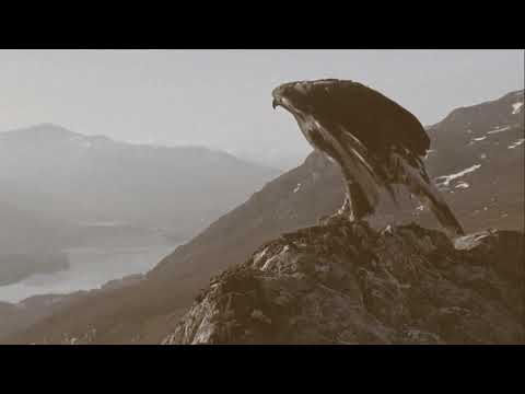 VII BATALLÓN DE LA MUERTE "Gottesvogel" (Official Video)