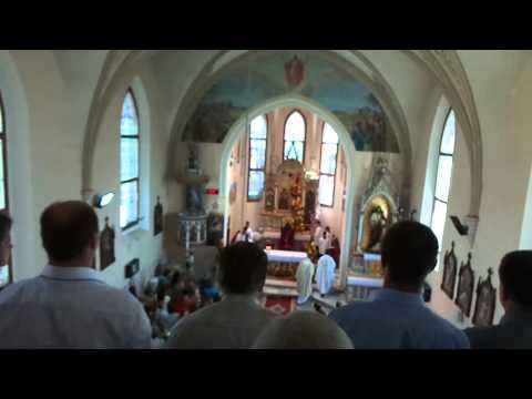 JKS 459 - Za česť Božiu rozhorlení (Fortem virili pectore)