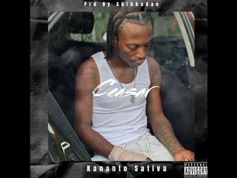 Kananto Sativa - Ceasar (prd. Skibbodan music)