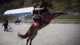 My crazy horse's journey