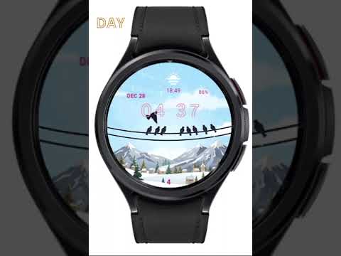 D0036 AnimPro