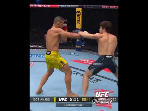 UFC video artwork