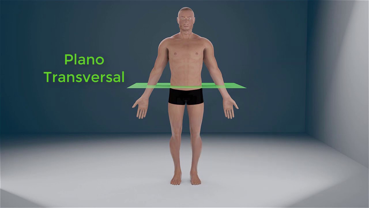 Posición anatómica, planos y ejes del cuerpo humano