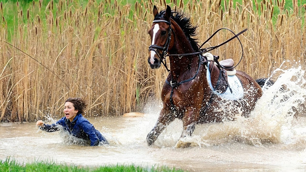 МОМЕНТЫ НА ФЕРМЕ, КОТОРЫЕ ПОШЛИ НЕ ПО ПЛАНУ 🐑🚜