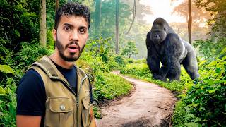 Encontré los últimos GORILAS SALVAJES del MUNDO 🦍