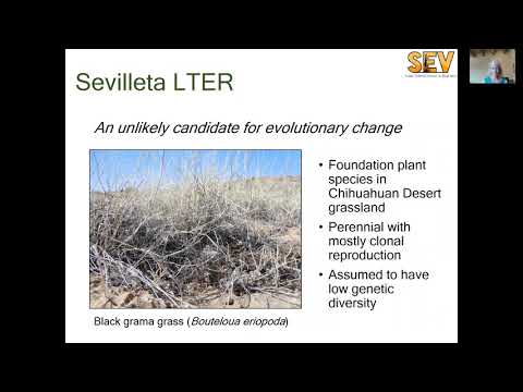 Experimental evolution in the wild: The power of LTER experiments for understanding evolution