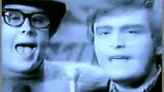 THE TURTLES  - You don&#39;t have to walk in﻿ the rain