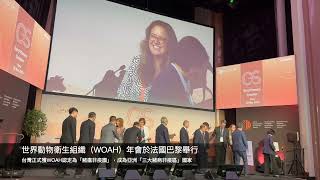 世界動物衛生組織授證 台灣成豬隻3大疫病非疫區